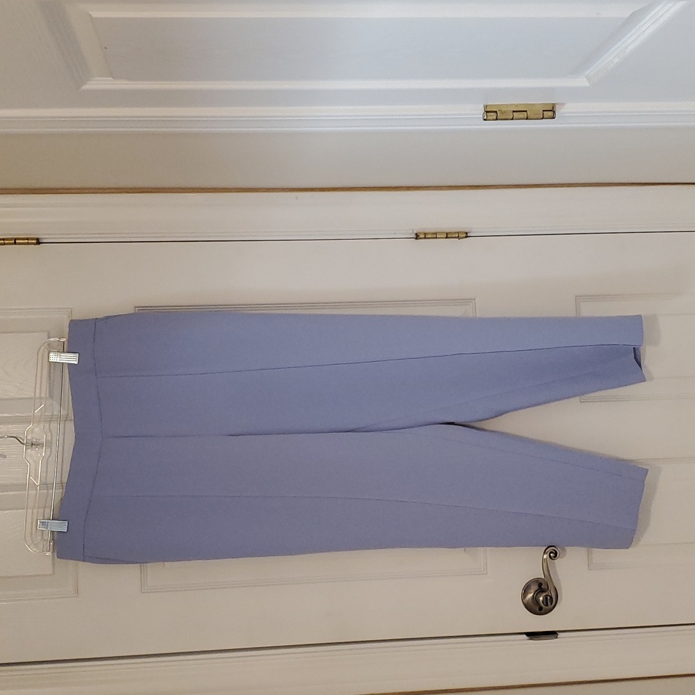 Ann Taylor Lilac Color Elastic Pants Size Large